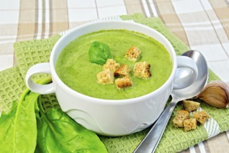Green soup puree in a white bowl with croutons and spinach leaves, spoon on a napkin on the