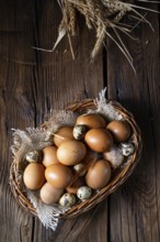 Fresh eggs straight from the farm in a basket