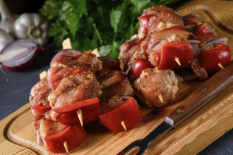 Raw shish kebab with various vegetables
