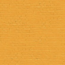 Uniform orange painted brick wall creating a vibrant backdrop.Belarus