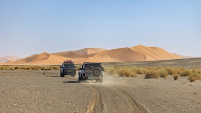 Off-road vehicles drive on a dusty road in front of large sand dunes, With off-road vehicles