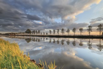 Clouds and tree row reflected in river at sunrise