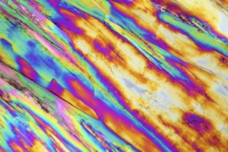 Vitamin B crystals under the microscope