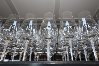 Empty wine glasses