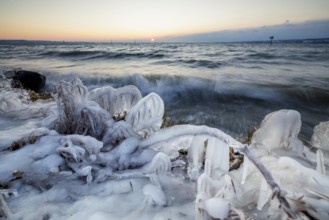 Ice-covered shore at sunrise with moving water and warm light, Hörnle, Constance, Lake Constance,
