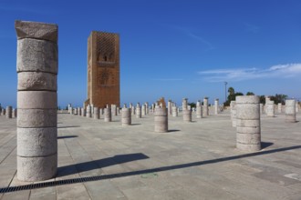 Hassan tower, Rabat, Morocco, Africa