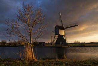 Kinderdijk windmill lights up in warm evening light