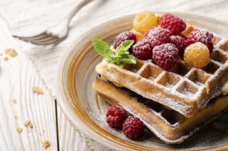 Belgian waffles served with raspberries and mint leaf dusted with powdered sugar on white wooden