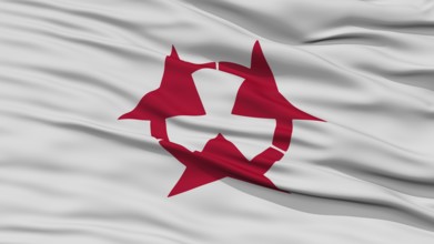 Closeup Oita Japan Prefecture Flag, Waving in the Wind, High Resolution
