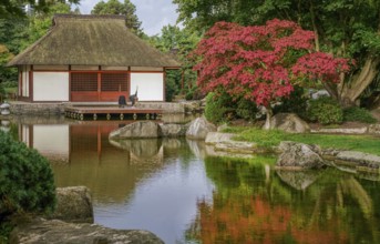 09-15-2022 Hamburg Germany. Amazing view of the Japanese garden in Hamburg (Botanical garden