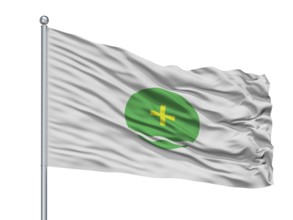 Toluca City Flag On Flagpole, Country Mexico, Isolated On White Background