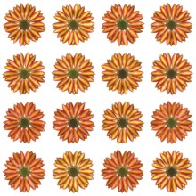 An illustration of some isolated different flowers