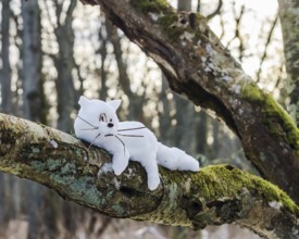 Animal cat out of the snow. Snowman cat on a tree