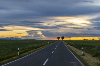 Sunset with long straight country road