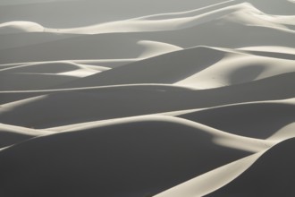 Background with beautiful structures of sandy dunes at sunrise in the Sahara desert