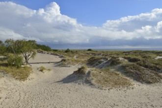 Sandhammaren is a Swedish coastal strip on the Baltic Sea. It is the southeasternmost point of the