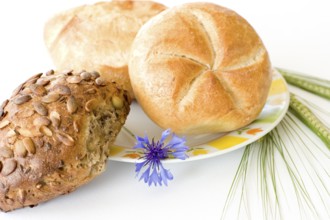 Rolls with cereals, Studio, Hesse, Federal Republic of Germany