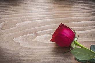 Red scented rose on wooden board holiday concept