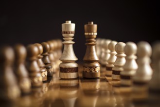 Chess on a dark background. A puzzle game with tricky combinations that requires planning and