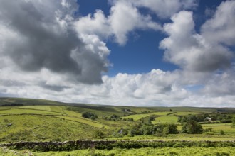 Dartmoor