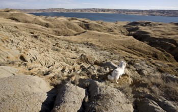 Sand Castles of Diefenbaker Lake Saskatchewan Badlands