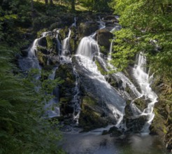 A view of the Swallow Falls waterfall in Anglesey in northern Wales surrounded by lush green summer