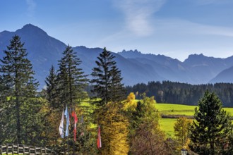 Green meadows, Allgäu Alps and mixed forest with colourful flags near Ofterschwang, Allgäu,