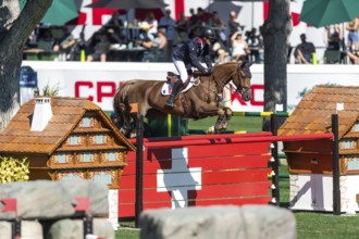 Francois Xavier Boudant of France, riding Brazyl du Mezel competes in the BMO Nations Cup during