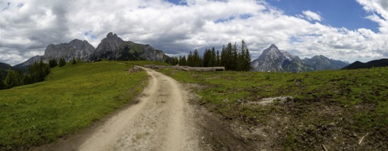 Forest path to Mödlinger Hütte, behind Admonter Kaibling, Admonter Reichenstein, mountain peak in