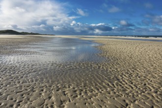 Beach on the North Sea coast on the island of Amrum