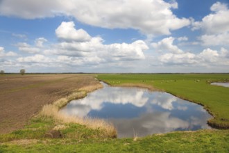 Typical Dutch landscape with lake and clouds in the polder