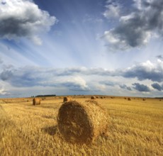 Landscape with harvested bales of straw in field