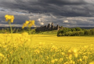 Devil's Wall near Thale in the Harz Mountains with a rape field in bloom