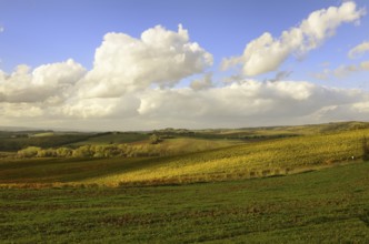 A beautiful tuscan landscape with autumnal colours