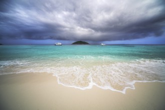 Tropical rain. Gale on the tropical island