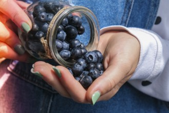 Woman holding bowl with fresh blueberries. Harvesting concept. Female hands collecting berries. The