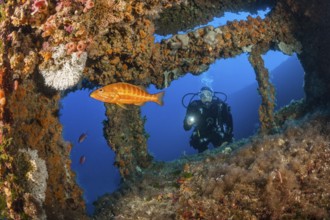 Scuba Diver at Vassilios Wreck, Vis Island, Mediterranean Sea, Croatia | Scuba Diver at Vassilios