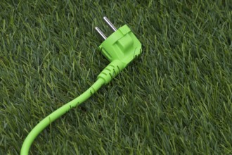 The photo shows a piece of lawn with a green power cable