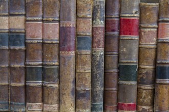 Antiquarian bookshop on the shelf