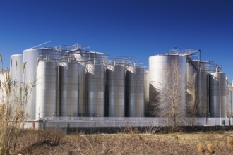 Elements of the food industry series of silos for storing raw material