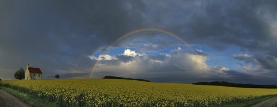 Panorama, chapel and rainbow over a rapeseed field
