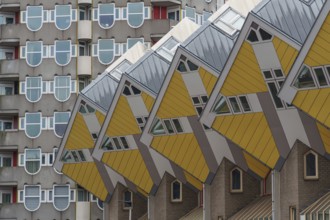 Modern cube houses with yellow and grey facades in Rotterdam, rotterdam, the netherlands