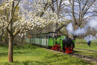 The popular small railway in Dresden's Great Garden has been in operation for 75 years. The steam