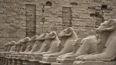 Avenue of ram-headed sphinxes. The Karnak Temple Complex, Luxor, Upper Egypt. UNESCO World Heritage