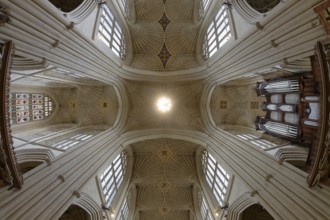 Fisheye, interior view, ceiling, Bath Abbey, Bath, England, Great Britain