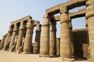 Africa, Egypt, Luxor, Amun Temple of Luxor. Austria, Africa