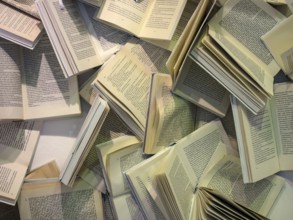 Many books are completely jumbled up in a pile in Austria