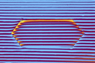 Cut out paper with pattern on a white background