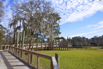 Tomball Burroughs park in Houston Texas with mossy oaks