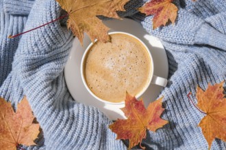 White cup of morning warming coffee on blue knitted sweater with maple yellow leaves background.